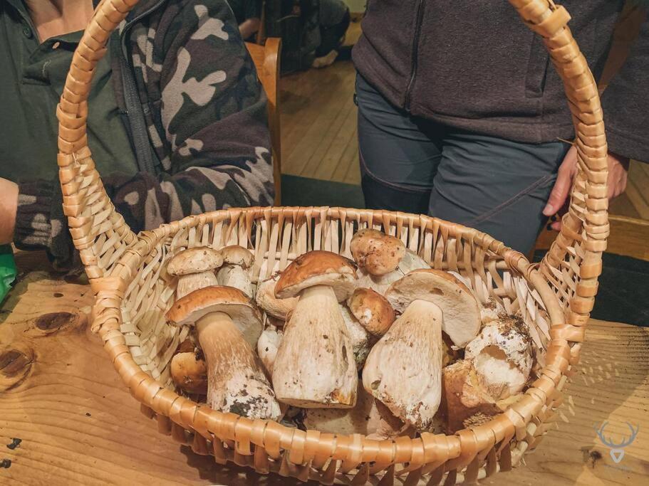 A L'Entree Du Verger - Charmante Maison En Pierres Dinant Luaran gambar
